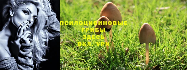 прущая мука Абаза