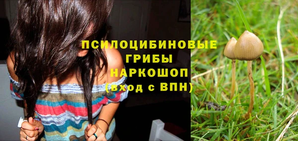 прущая мука Абаза