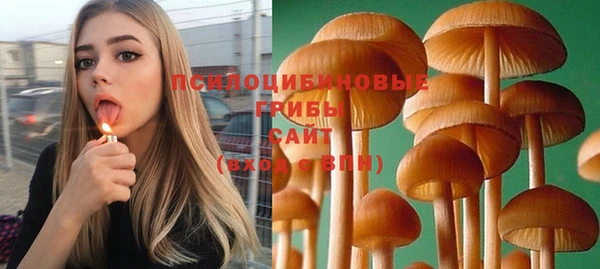apvp Абдулино