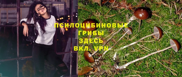 прущая мука Абаза